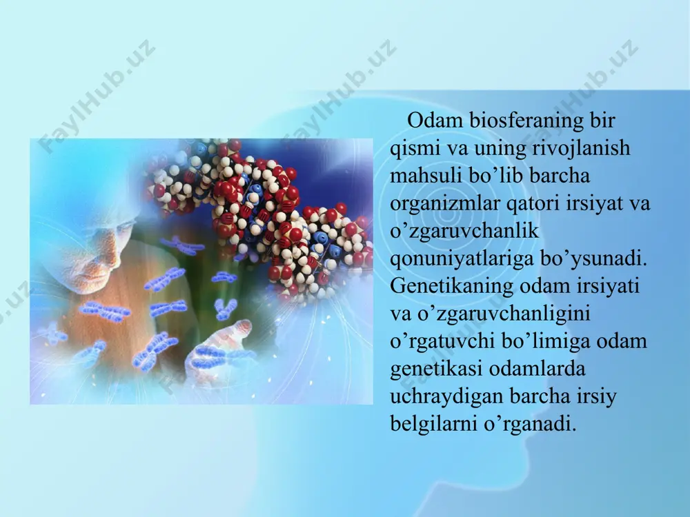 qavatidan hosil bо’lgan bо’rtmachalar xisobiga paydo bо’ladi. barmoqlar uchida hosil bо’lgan naqshlar esa, har bir irqqa mansub kishilarda о’ziga xos kо’rinishga ega. adabiyotlar g’afurov a. t. darvinizm toshkent, o’qituvchi1992 yil. воронцов н. п., сухорукова л.н. эволюционная органического мира. м. просвешение 1991 to’raqulov yo. x. malekulyar biologiya. toshkent, o’qituvchi1993 yil иорданскис н. н. эволюция жизни. м.издательский центр “академия” 2001 inge-vechtomov s.g. genetika s osnovami selektsii. moskva., «vsshaya shkola», 1989 g. lobashev m.ye., vatti k.v., tixamirova m.m. genetika s osnovami selektsii. moskva, «prosveshenie», 1979 god. image10.png image11.jpeg image12.jpeg image13.jpeg image14.jpeg image15.jpeg image16.jpeg image17.jpeg image18.jpeg image1.jpeg image2.jpeg image3.jpeg image4.jpeg image5.jpeg image6.jpeg image7.jpeg image8.jpeg image9.jpeg