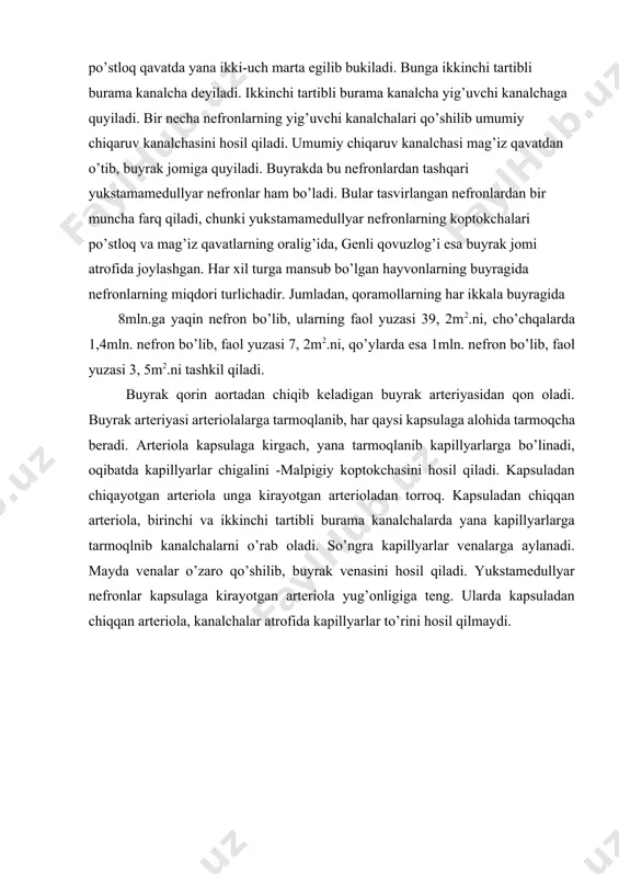 osim esa filtratsiyaga qarshilik ko’rsatadi. ammo onkotik bosim juda past, u bor-yog’i 20-30mm. simob ustunidan oshmaydi. shu sababli oqsillarning bu kolloid bosimi odatda filtratsiyaga deyarli ta’sir ko’rsatmaydi. ammo ba’zi sabablarga ko’ra onkotik bosimning oshib ketishi fil’tratsiyaning bir muncha sekinlashishiga sabab bo’lishi mumkin. shunday qilib, filtratsiya oqibatida kapillyarlardan kapsula va kanalchaga ma’lum miqdorda suyuqlik shimilib o’tadi. bunga birlamchi, ya’ni provizor siydik deyiladi. birlamchi siydik tarkibida oqsillar bo’lmasligi bilan qon plazmasidan farq qiladi. tajribalarda mikropipetka yordamida baqa nefron kapsulasidan birlamchi siydikni olib tekshirsa bo’ladi. ana shu va boshqa bir qator tekshirishlar tufayli birlamchi siydikda oqsillardan tashqari plazmaning barcha organik va anorganik moddalari bo’lishi, bo’lganida ham plazmadagiga teng miqdorda bo’lishi isbotlangan. ikkinchi faza -reabsorbtsiya (qayta so’rilish) fazasi birlamchi siydik kanalchalar bo’ylab oqib borar ekan, reabsorbtsiyaga uchraydi, ya’ni qayta so’riladi. oqibatda tarkibidagi ko’pchilik moddalar qonga qayta so’rilib, oxirida ozgina “quyuqlashgan” oxirgi, haqiqiy siydik hosil bo’ladi. turli hayvonlarda kanalchalarning umumiy yuzasi 3,5m2 dan to 40m2 …