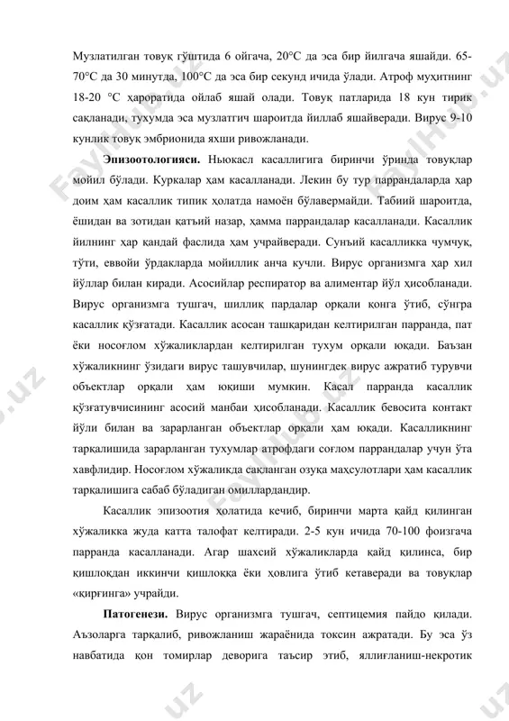 atogenezi. virus organizmga tushgach, septitsemiya paydo qiladi. a'zolarga tarqalib, rivojlanish jarayonida toksin ajratadi. bu esa o'z navbatida qon tomirlar devoriga ta'sir etib, yallig'lanish-nekrotik jarayonni keltirib chiqaradi. qon sizilib chiqa boshlaydi, giperemiya va qon quyilish ro'y beradi. yurak muskullari distrofik-degenerativ o'zgarishga uchrab, uning faoliyati buziladi. bundan tashqari, taloq, jigar, buyrak, oshqozon-ichak va bosh miyada ham jarohatlanish kuzatiladi. kechishi va klinik belgilari. kasallikning yashirin davri 1-5 kun, ba'zan bir hafta davom etishi mumkin. nyukasl kasalligida klinik belgilarning namoyon bo'lishi asosan organizmda immunitetning mavjudligiga bog'liq. immunitet yo'q parrandalarda kasallik og'ir o'tadi. bu holat ayniqsa yosh jo'jalarda kuchli namoyon bo'ladi. ular butunlay holsizlanadi, nafas olish qiyinlashadi. nafas olganda og'zini ochib bo'ynini cho'zadi, o'ziga xos tovush chiqaradi. kasallik boshlangach, birinchi 4-5 kunda talofat kuchli bo'lib, 80-100 foizgacha etishi mumkin. 8-10 kundan keyin esa kamayadi. asab sistemasining buzilishi kuzatiladi, boshda tremor holati yuzaga kelib, qanot va oyoqlar falajlanadi. bo'yni orqaga qayrilib qoladi, ba'zan ko'krakga egilgan bo'ladi …