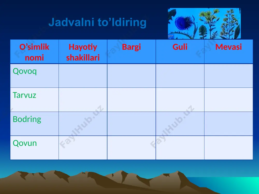 qoqio’tdoshlar oilasi taqdimoti - Page 4