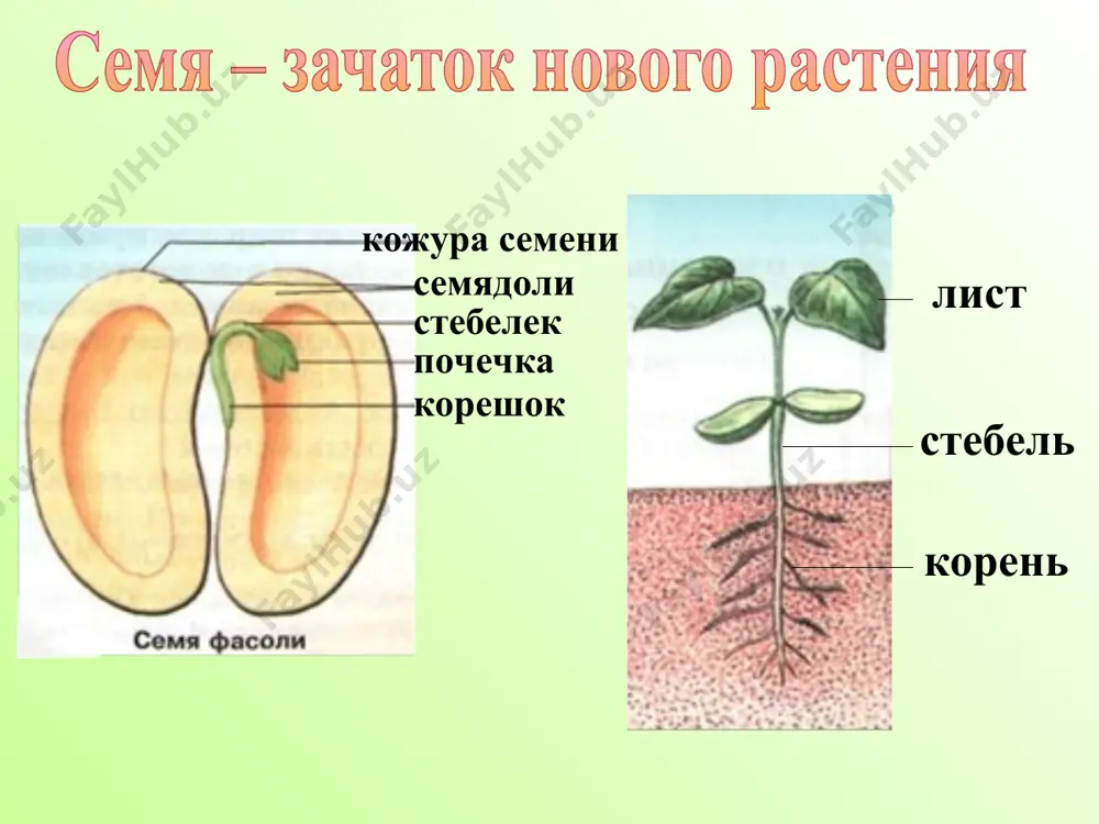 аиболее близок вам по настроению? какого гнома вы забрали бы с собой уходя сегодня с урока?