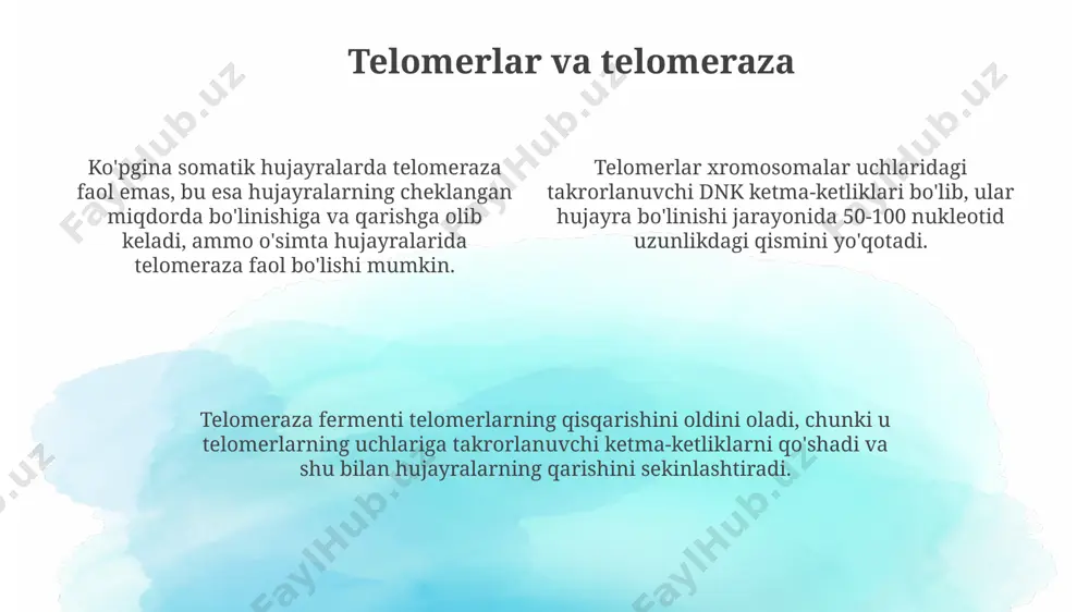 dnk replikatsiyasi - Page 4