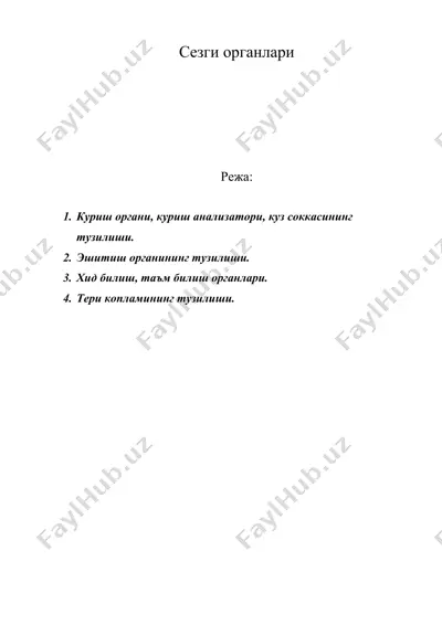сезги органлари — DOC