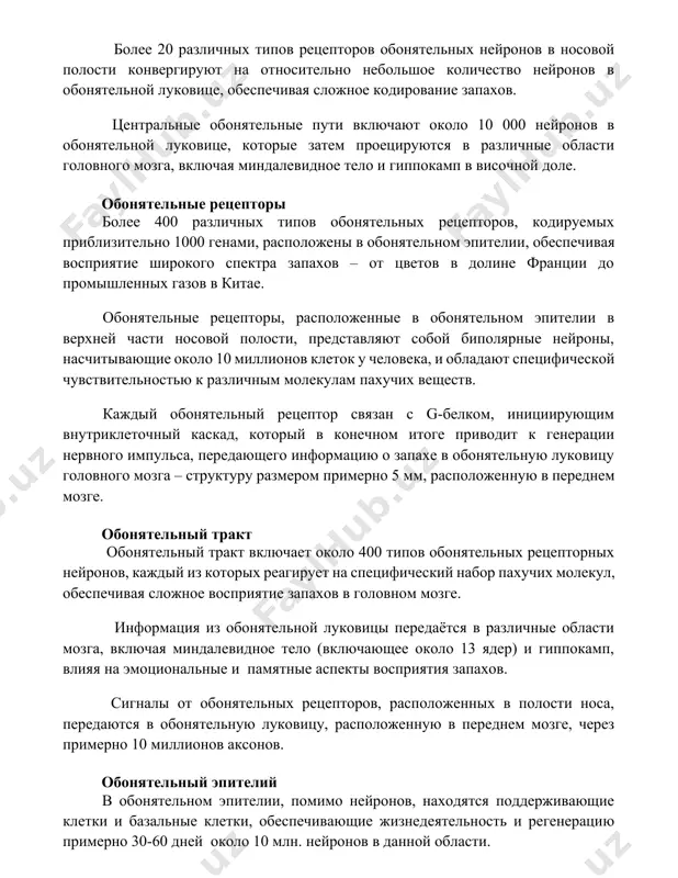 личные области головного мозга, включая миндалевидное тело и гиппокамп в височной доле. обонятельные рецепторы более 400 различных типов обонятельных рецепторов, кодируемых приблизительно 1000 генами, расположены в обонятельном эпителии, обеспечивая восприятие широкого спектра запахов – от цветов в долине франции до промышленных газов в китае. обонятельные рецепторы, расположенные в обонятельном эпителии в верхней части носовой полости, представляют собой биполярные нейроны, насчитывающие около 10 миллионов клеток у человека, и обладают специфической чувствительностью к различным молекулам пахучих веществ. каждый обонятельный рецептор связан с g-белком, инициирующим внутриклеточный каскад, который в конечном итоге приводит к генерации нервного импульса, передающего информацию о запахе в обонятельную луковицу головного мозга – структуру размером примерно 5 мм, расположенную в переднем мозге. обонятельный тракт обонятельный тракт включает около 400 типов обонятельных рецепторных нейронов, каждый из которых реагирует на специфический набор пахучих молекул, обеспечивая сложное восприятие запахов в головном мозге. информация из обонятельной луковицы передаётся в различные области мозга, включая миндалевидное …