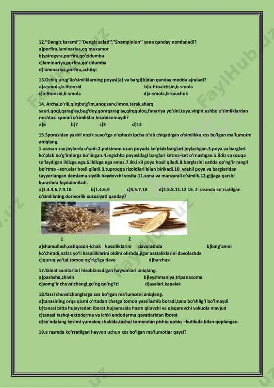 hosil qiladi.8.barglarini ostida qo’ng’ir rangli bo’rtma –soruslar hosil qiladi.9.tuproqqa rizoidlari bilan birikadi.10. yashil poya va barglaridan tayyorlangan damlama siydik haydovchi vosita.11.xona va manzarali o’simlik.12.gijjaga qarshi kurashda foydalaniladi. a]1.3.4.6.7.9.10 b]1.4.6.9 c]3.5.7.10 d]2.5.8.11.12 16. 2-rasmda ko’rsatilgan o’simlikning dorivorlik xususiyati qanday? 1 2 a]shamollash,oshqozon-ichak kasalliklarini davolashda b]balg’amni ko’chiradi,nafas yo’li kasalliklarini oldini olishda,jigar xastaliklarini davolashda c]quruq yo’tal,tomoq og’rig’iga davo d]barchasi 17.tabiat sanitarlari hisoblanadigan hayvonlari aniqlang. a]pashsha,chivin b]leyshmaniya,tripanasoma c]yomg’ir chuvalchangi,go’ng qo’ng’izi d]asalari,kapalak 18.yassi chuvalchanglarga xos bo’lgan ma’lumotni aniqlang. a]tanasining orqa qismi o’rtadan chetga tomon yassilashib boradi,tana bo’shlig’i bo’lmaydi b]tanasi bitta hujayradan iborat,hujayrasida hazm qiluvchi va qisqaruvchi vakuola mavjud c]tanasi tashqi-ektoderma va ichki endoderma qavatlaridan iborat d]ko’ndalang kesimi yumaloq shaklda,tashqi tomondan pishiq qobiq –kutikula bilan qoplangan. 19.a rasmda ko’rsatilgan hayvon uchun xos bo’lgan ma’lumotlar qaysi? a b c a]o’ljasini ovlash uchun tutqich to’r to’qiydi b]o’simlik zararkunandasi bo’lgan shira bitlarini yeb,foyda keltiradi c]qisqichlari yordamida o’ljasini tutadi va dushmandan himoyalanadi d]o’zidan siyoh chiqarib,dushmanni chalg’itadi 20.rasmda ko’rsatilgan hayvonlar nechanchi …
