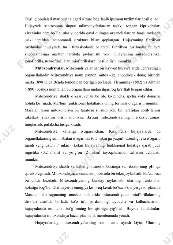 o`planadi. masalan, diafragmaning mushak tolalarida mitoxondriyalar miofibrillalarning disklari atrofida bo`ladi, ko`z to`r pardasining tayoqcha va kolbachasimon hujayralarida esa ichki bo`g`imning bir qismiga yig`iladi. buyrak kanalchalari hujayralarida mitoxondriya bazal plazmatik membranada yotadi. hujayralardagi mitoxondriyalarning sonini aniq aytish kiyin. ularning miqdori hujayra tipiga va funksional holatiga bog`liq, jigarda 30-35%, buyrakda 20% oqsil mitoxondriyaga to`g`ri keladi. jigar gomogenatining 1 grammiga 8,7-1010 mitoxondriya to`g`ri keladi. sog` jigar hujayrasi 2500 mitoxondriya, regeneratsiya bo`layotgan jigar hujayralarida va jigar o`smalari hujayralarida ularning soni kam. elektron mikroskopik tadqiqotlar mitoxondriyaning i k k i q o- b i q bilan o`ralganligini ko`rsatadi (10-rasm, a). t a sh q i m e m b r a n a n i n g qalinligi taxminan 6 nm bo`lib, shu organellaning o`tkazuvchanlik xususiyatini belgilasa kerak. ichki tarafda yotuvchi i ch k i mitoxondrial membrana tashqarisidagidan farqli o`laroq, tekis bo`lmay, o`simta (krista) lar hosil qiladi (11-rasm, a). bu membrananing ham qalinligi taxminan 6 …
