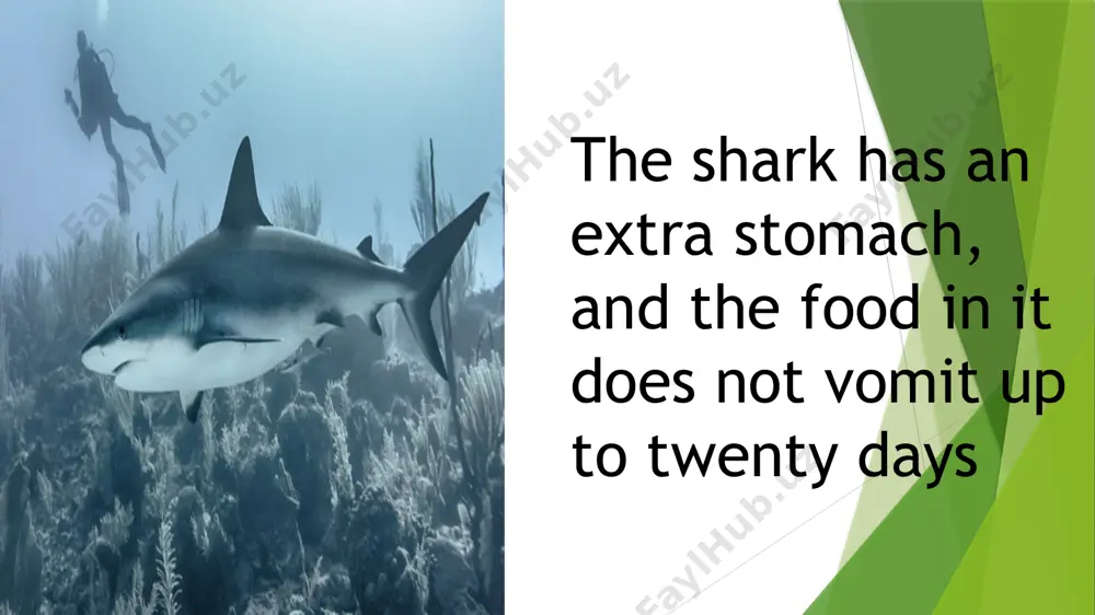 interesting facts in world - Page 3