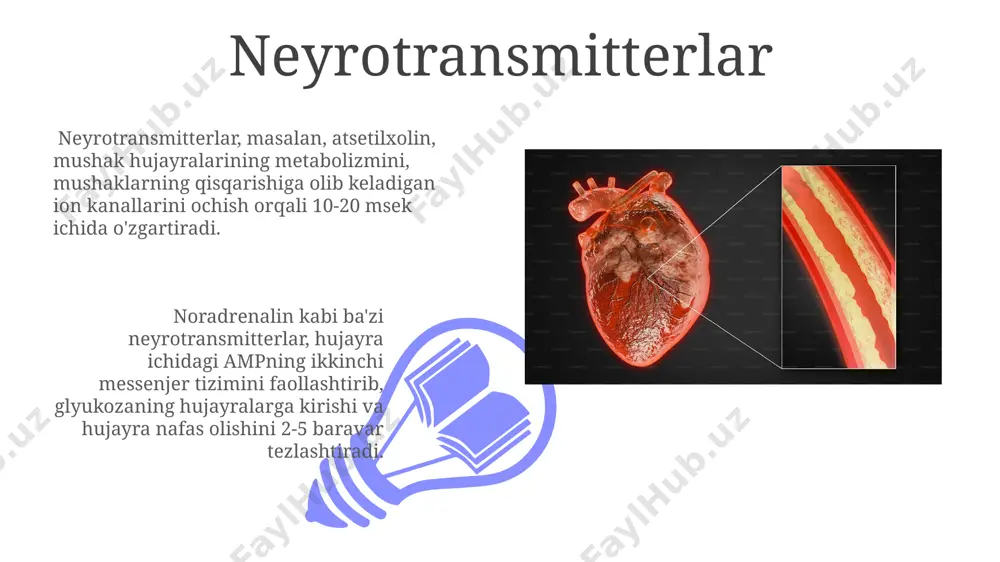 ashtiruvchi nurlanish bo'lib, 100 gy dan yuqori dozalar hujayra o'limini, to'qimalarning nekrozini va og'ir shikastlanishlarni keltirib chiqarishi mumkin. dori vositalari баъзи дори воситалари, мисол учун, глюкокортикоидлар, 2-3 кун ичида тўқимадаги глюкоза метаболизмининг тезлигини 15-20% га ўзгартиради. циклоспорин каби иммуносупрессантлар 5-10 мкг/мл концентрациясида лимфоцитларнинг метаболик фаоллигини сезиларли даражада босади. oziq moddalar 01 02 oziq moddalarning 70% dan ortig'i energiya ishlab chiqarishga, qolgan qismi esa hujayra tuzilmalarini tiklash va yangilashga sarflanadi, bu esa to'qimalarning metabolizmiga bevosita ta'sir qiladi. sales 1st qtr 2nd qtr 100 0 sales 1st qtr 2nd qtr 100 0 e'tiboringiz uchun rahmat @taqdimot_robot image4.jpg image5.jpg image6.jpg image7.jpg image8.jpg image9.jpg image10.jpg image11.jpg image12.jpg image13.jpg image14.jpg image15.jpg image1.jpeg image2.jpeg image3.jpeg