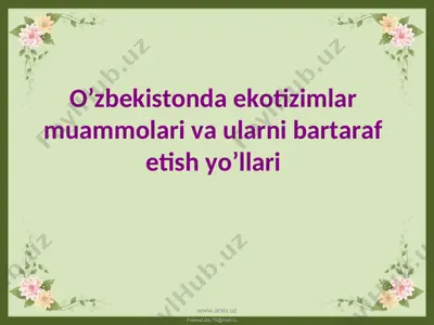 o’zbekistonda ekotizimlar muammolari va ularni bartaraf etish yo’llari — PPT