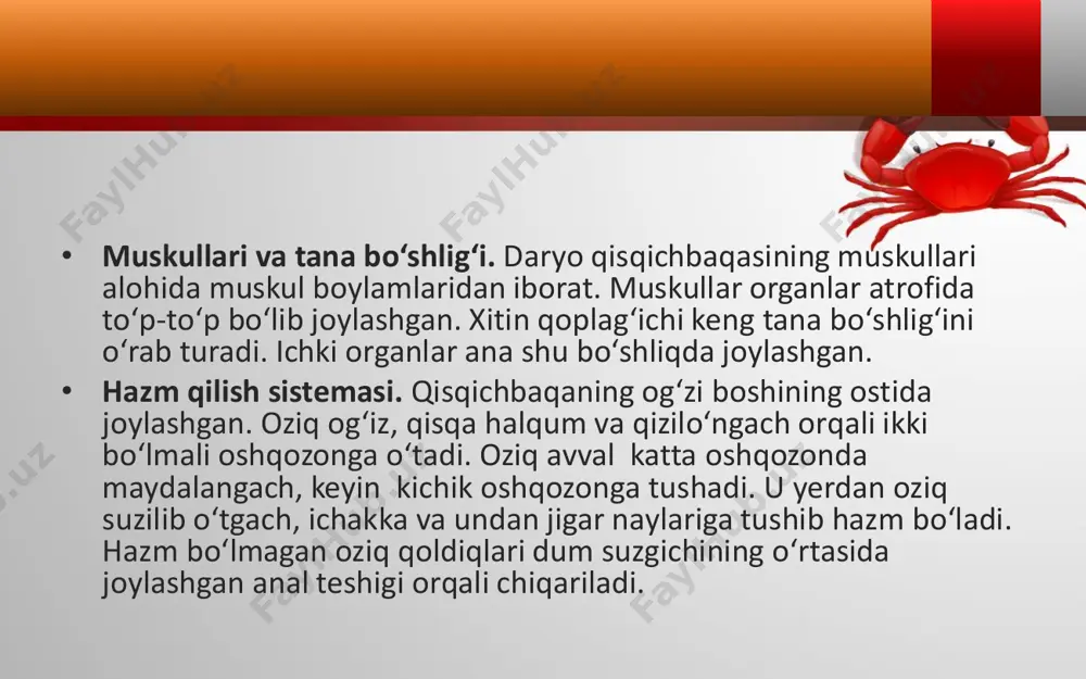 daryo - Page 5