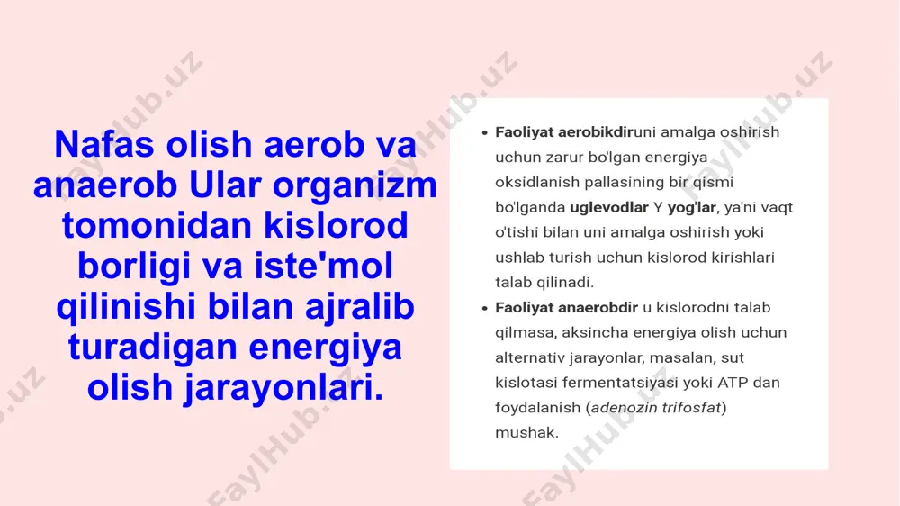 anaerob jarayonlar orqali energiya hosil bo’lishi - Page 4
