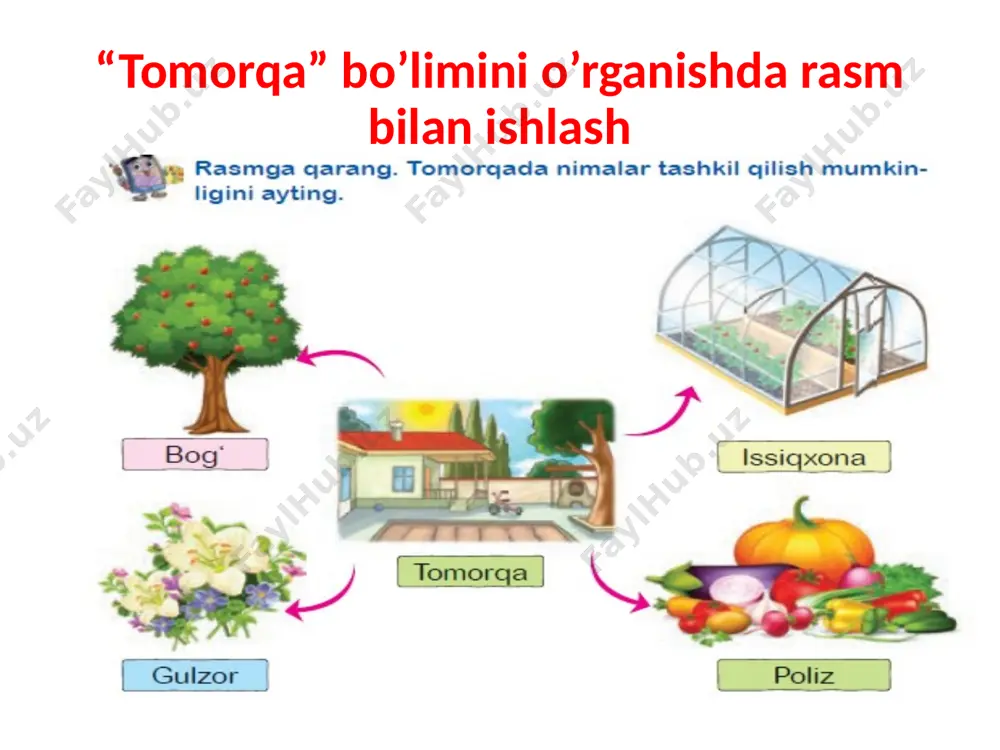 ona tilio'qitish metodikasi ma'ruzasi - Page 3