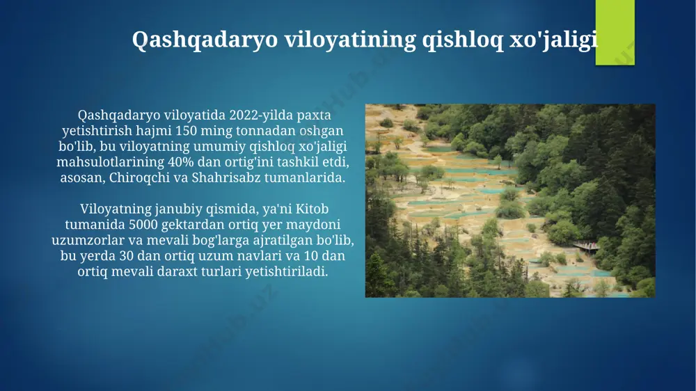 qashqadaryo viloyati haqida - Page 5