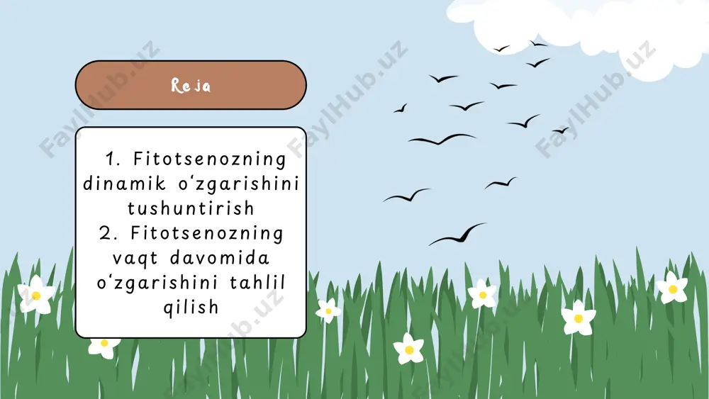 fitotsenozning dinamik oʻzgarishini tavsiflash - Page 3