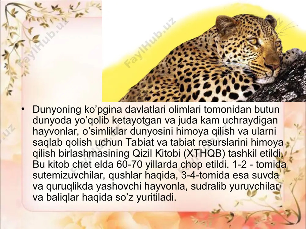 “qizil kitob”da kiritilgan hayvonlar - Page 5