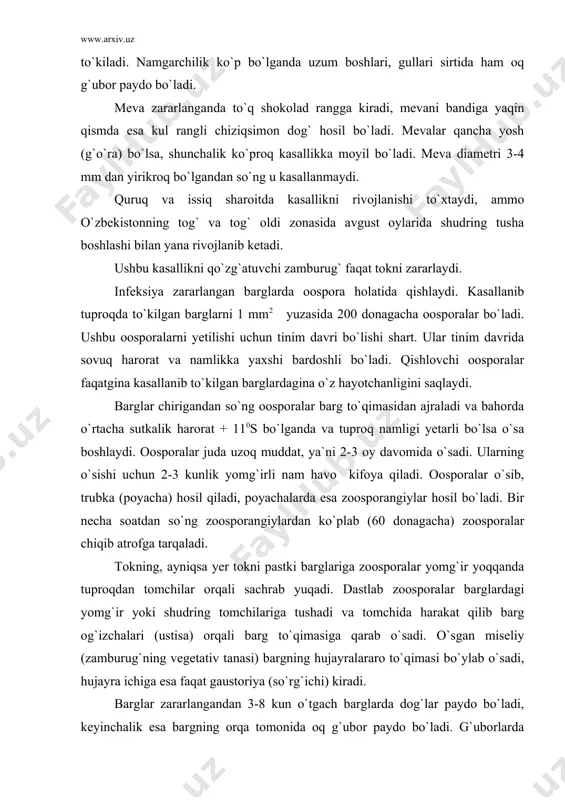 m havo kifoya qiladi. oosporalar o`sib, trubka (poyacha) hosil qiladi, poyachalarda esa zoosporangiylar hosil bo`ladi. bir necha soatdan so`ng zoosporangiylardan ko`plab (60 donagacha) zoosporalar chiqib atrofga tarqaladi. tokning, ayniqsa yer tokni pastki barglariga zoosporalar yomg`ir yoqqanda tuproqdan tomchilar orqali sachrab yuqadi. dastlab zoosporalar barglardagi yomg`ir yoki shudring tomchilariga tushadi va tomchida harakat qilib barg og`izchalari (ustisa) orqali barg to`qimasiga qarab o`sadi. o`sgan miseliy (zamburug`ning vegetativ tanasi) bargning hujayralararo to`qimasi bo`ylab o`sadi, hujayra ichiga esa faqat gaustoriya (so`rg`ichi) kiradi. barglar zararlangandan 3-8 kun o`tgach barglarda dog`lar paydo bo`ladi, keyinchalik esa bargning orqa tomonida oq g`ubor paydo bo`ladi. g`uborlarda zamburug`larning yozgi konidiyalari hosil bo`lib ular shamol, hasharotlar va yomg`ir orqali butun o`suv davri davomida atrofga tarqalib turadi. o`suv davri davomida zamburug` 7-11 martagacha avlod beradi. konidiyalar havo oqimi orqali juda qisqa vaqtda katta maydonlarda tarqaladi. yozning issiq va quruq ob-havo sharoitida kasallik biroz sustlashadi, ammo kuzga borib yanada kuchayib ketadi. kasallikning rivojlanishiga …