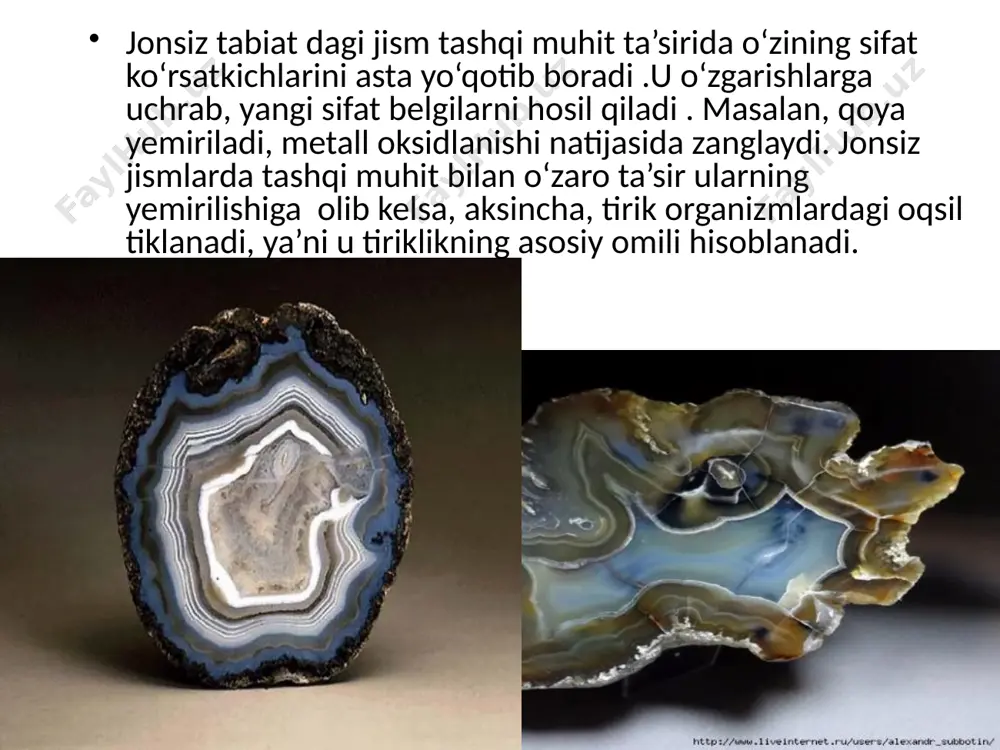 tirik organizmlarning o‘ziga xos xususiyatlari - Page 5