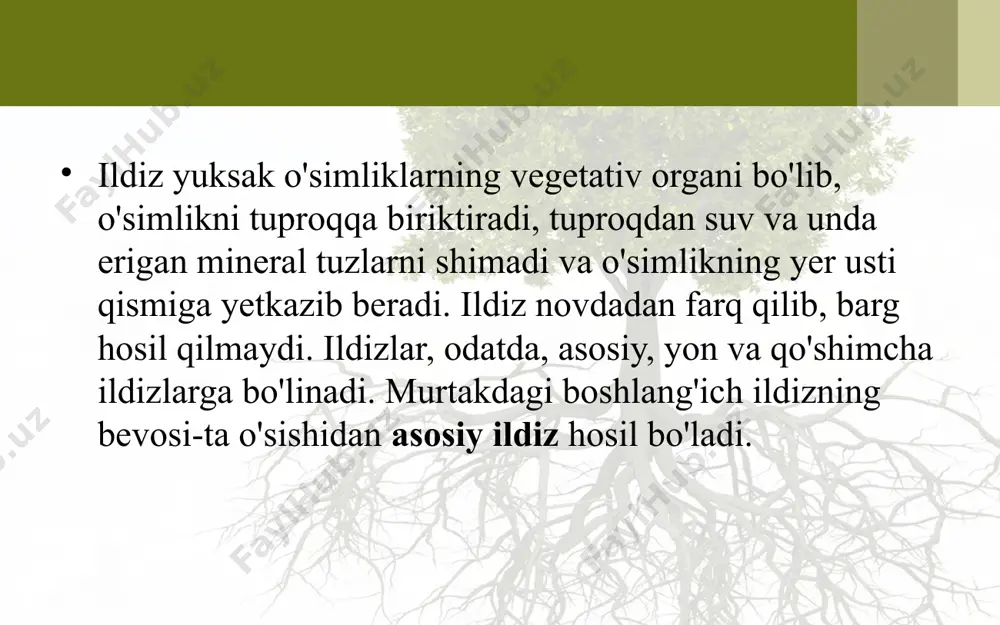 o‘q ildiz tizimi hosil bo‘ladi. bun day moslashish ko‘pchilik ikki urug‘pallali o‘simliklarga xos. savol va topshiriqlar o'simlik organizmi qanday organlardan tashkil topgan? ildiz tuzilishiga qarab qanday turlarga bo'linadi? ildiz tizimi deb nimaga aytiladi? image2.jpeg image3.jpeg image4.png image5.jpeg image6.jpeg image7.jpeg image8.jpeg image9.png image10.png image11.jpeg image1.jpeg