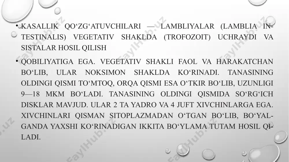 mexanik ta’sirlashi va ma’lum darajada so‘rilishning buzilishiga sabab bo‘lishi mumkin. bunda qorinda kuchli bo‘lmagan og‘riq, qorin dam bo‘lishi (meteorizm) va quldirashi, ich kelishi ning buzilishi, ishtaha pasayishi, ko‘ngil aynishi, ba’zan esa o‘ng qovurg‘a ostida og‘riq kuzatilishi mumkin. ayrim hollarda lambliyalar organizmdagi boshqa ichak va o‘t yo‘llari kasalliklarining qayta zo‘rayishiga sabab bo‘ladi. lambliyalarni kasallik yuqtirgan kishilarda aniqlash odatda oson. agar najas shakllangan holda bo‘lsa, u vaqtda surtmada mikroskop yordamida sistalar aniqlanadi. lugol eritmasida bo‘yalgan surtma parallel tekshiriladi. yangi suyuq najasda va duodenal zondlash orqali olingan materialda harakatchan vegetativ shakllarni aniqlash mumkin. najasda sistalarning topilishi tashxis qo‘yish uchun yetarli tasdiq hisoblanadi, shuning uchun vegetativ shakllarini aniqlash maqsadida materiallarni tekshirishning hojati qolmaydi. parazit hayot sikli e’tiboringiz uchun rahmat! image2.png image4.jpeg image3.png image5.jpeg image6.jpeg image7.jpeg image8.jpeg image9.jpeg image1.png /docprops/thumbnail.jpeg