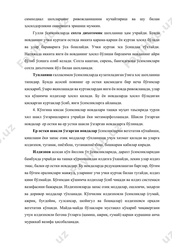 еча бўғим оралиғидан иборат йўғон этли бўртма шаклида ривожланади. туганаклардан ҳам ўсимликларни вегетатив кўпайтиришда фойдаланилади. картошка туганаги хлорофилсиз, жуда қисқарган бўғим оралиғли, ёруғлик таъсирида яшил рангга кирувчи ер остки новда бўлиб, улар баргда фотосинтез жараёнида ҳосил бўлувчи крахмални ўсимликнинг рангсиз, узун ер остки поялари учларида, яъни столонларда тўпланиши ҳисобига шаклланади. туганакдаги куртаклар спирал шаклда жойлашган бўлади. унинг столонга бириккан томони туганак туби, қарама-қарши томони туганак устки қисми дейилади. туганак учки қисмида учки куртак жойлашади. шунингдек «кўзчалар» деб аталувчи ён куртаклар ҳам мавжуд. кўзчаларнинг ҳар бирида учтадан куртак бўлиб, улардан фақат биттаси ўсди, бошқалари тиним ҳолатда қолади. туганакнинг асосий массаси ўзак паренхимасидан иборат. пиёзбош ер остки бўғим оралиғи қисқарган новда бўлиб, улар запас озиқ моддалар тўпланувчи, рангсиз, қобиқсимон шаклли барглардан ташкил топади. пиёзбошнинг марказида запас барг бошланғичлари, пастки қисмида қўшимча илдизлари бўлади. эрта кўкламда қобиқсимон баргларда тўпланган запас озиқ моддалар ҳисобига куртак униб, ундан ҳақиқий новда шаклланади. бу новдада гул ривожланиб, …