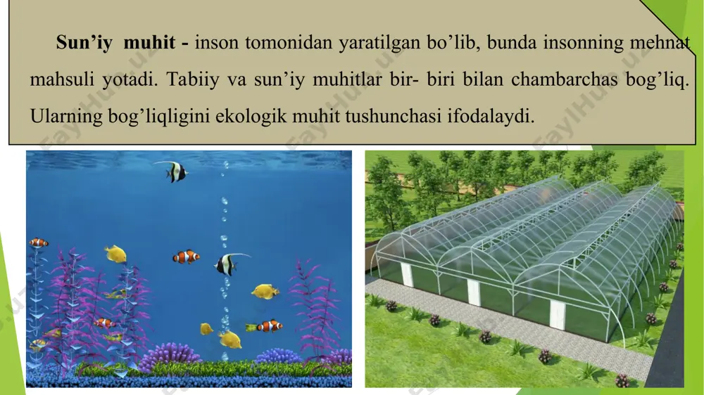o’sishi va rivojlanishi birinchi navbatda ekologik minimum yoki ekologik maksimum qiymatlariga yaqinlashuviga muhit omillariga bog’liq organizmlarning ekologik chidamliligi (valentligi) va tolerantligi bo’yicha organizmlarning tasnifi. № organizmlar belgilari bo’yicha tasnifi 1. evriterm yashayotgan muhitda haroratning ma‘lum darajada o’zgarishiga moslashgan orga-nizmlar. 2. stenoterm muhit haroratining keskin o’zgarishiga chidamsiz organizmlar. 3. evrigal atrof-muhitning sho’rligini yoki kimyoviy tarkibini xiyla o’zgartirib yuboradigan organizm. 4. stenogal yashash muhitining noqulayligi (sho’rligi, iqlimi va boshq.) va kuchli o’zgarishiga chidamsiz organizm. 5. evrigigrobiont atrof muhitning namligini o’zgartirib yuboradigan organizm. 6. stenogigrobiont iqlimdagi yog’in me‘yori kamligi, bosim miqdorining keskin o’zgarishiga chidamsiz organizmlar. 7. evriionlilik har xil kislotali muhitda yashashga moslashgan organizmlar. 8. stenoionlilik organizmlarning uncha kuchli b`lmagan kislotali muhitda yashashga moslashuvi. 9. evrioksibiont-lilik katta miqdordagi kislorodning boshqa joyga o’tishi (masalan, suvda). 10. stenooksibiont-lilik katta miqdordagi kislorodning boshqa joyga o`ta olmasligi. 11. evritrof juda ko’p b`lmagan oziqa ob‘ektlaridan oziqlanadi. 12. stenotrof uncha katta b`lmagan oziqa ob‘ektlaridan oziqlanadi. 13. evrifat yorug’lik rejimi …
