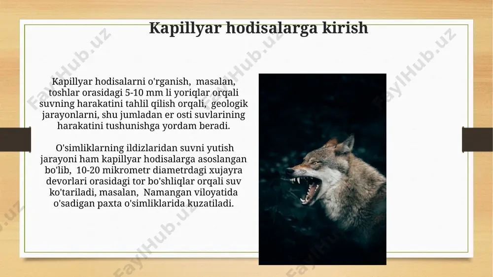 hayvonlarda ho‘llash va ho‘llamaslik kapillyar hodisalar - Page 5