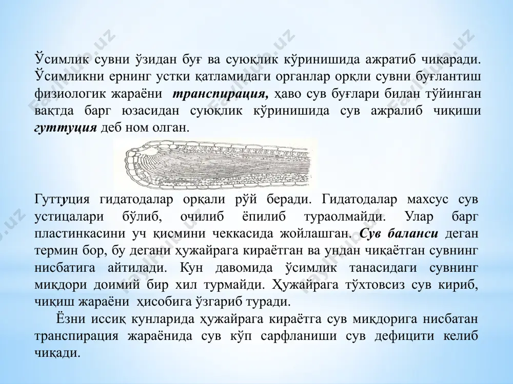 увни фаоллигини, эркин энергиясини, кимёвий потенциалини пасайтиради. осмос - сув ҳам бошқа моддаларга ўхшаб, ҳужайра ва уни органелаларига кириш учун плазмалеммалар орқали, вакуолага ўтиш учун эса, яна тоноплпаст орқали ўтиш керак. сув молекуласи ёки бошқа эритмаларни ярим ўтказувчи мембраналар орқали бир тамонлама диффузияси осмос дейилади (грекча osmos - босим). сув ва бошқа эритувчиларнинг ярим ўтаказгич парда орқали диффузияси осмос деб аталади. осмос сувни концентрацияларини фарқи натижасида пайдо бўлади. ўсимлик ҳужайрасидаги осмос босимни дастлаб 1826 йилда француз ботаниги г.дютрош ўзини жуда содда тажрибалари орқали исботлашга ҳаракат қилган. шиша най учига пергамент материалли қопчадан боғлаб, уни ичига тузли ёки қандли эритма билан тўлдириб, сувли стаканга туширган. қопчага сувни ўтшиши натижасида эритма най бўйлаб кўтарилган. бу жуда ҳам содда ҳужайра модели бўлиб, дютрош осмометри деб аталди. умуман тизимда осмотк босим пайдо бўлиши учта нарса зарур; эритма, эритувчи ва ярим ўтказувчи парда бўлганда кузатилади. оддий стакандаги эритма осмотик босимни намоён қилмайди 1877 йилда немис …