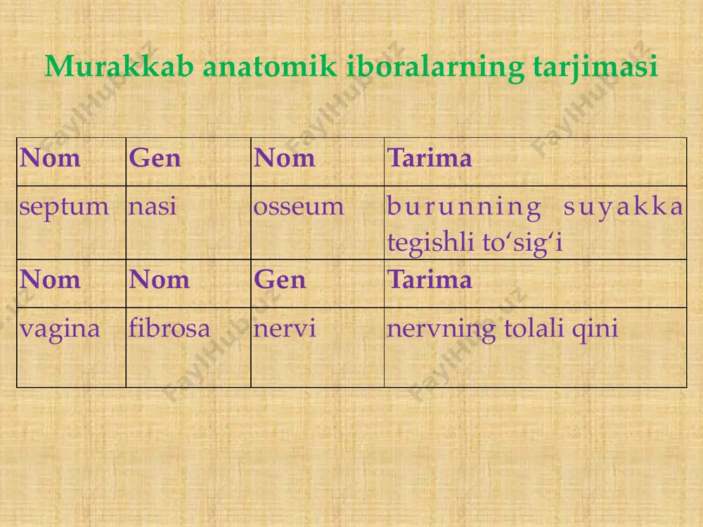murakkab anatomik iboralar tarjimasi - Page 5