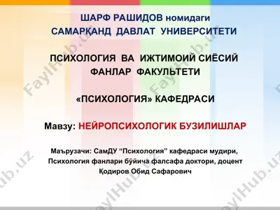 neyropsixologik buzilishlar — PPT