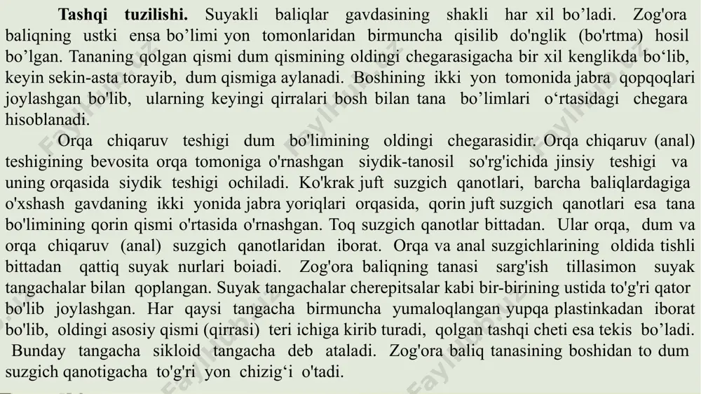 ) bilan to’lgan bo’ladi. uni pipetkadan suv tomizib yuving. so'ngra pinset bilan ko'z oldidagi va ular o'rtasidagi suyaklarni olib tashlang. hosil bo’lgan preparatni suvga solib, bosh miyaning ayrim qismlarini ko'rib chiqing. tayyor preparatdan ham foydalanib, baliqning bosh miya bo’limlari bilan tanishib chiqsangiz bo’ladi. bu ishlar bajarib bo’lingach, ichki organlar tuzilishi bilan quyidagi tartibda tanishib chiqing ovqat hazm qilish sistemasi. zog'ora baliqning og‘iz bo'shlig'idan keyin barcha baliqlardagidek halqum boshlana­di. og'iz va halqum bo'shliqlari orasida aniq chegara yo'q. boshqa baliqlarga o'xshash zog'ora baliqda ham haqiqiy til yo'q. til singari uchi og'iz bo'shlig'iga chiqib turadigan til osti yoyining kopulasi faqat shilimshiq parda bilan qoplangan bo'lib, u mustaqil bo'lmagani tufayli harakat qila olmaydi. har tomonida beshtadan jabra yorig'i bo'lgan halqum qisqa qizilo'ngachga, qizilo'ngach esa oshqozonga ochiladi. oshqozondan kam differensiallashgan haqiqiy ichak boshlanadi, bu ichakning oldingi boiimini o‘n ikki barmoqli ichak, so'ngra ingichka ichak va anal teshigi bilan tugaydigan to'g'ri ichak tashkil etadi (ba’zi baliqlar …