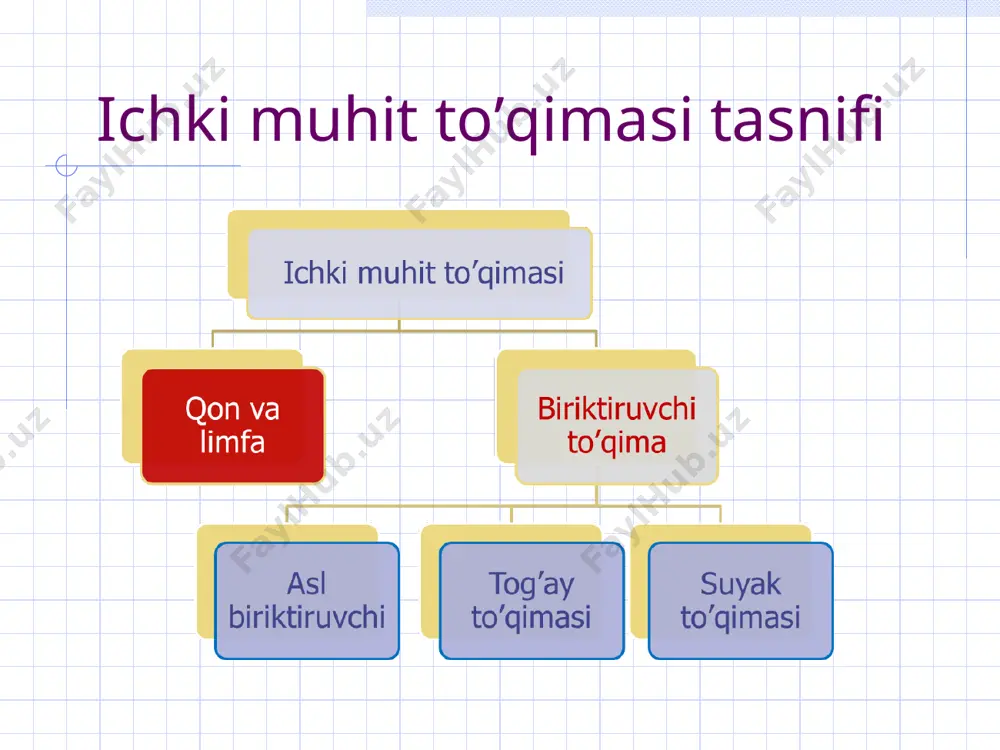 oʻrta (8-10 mkm) va yirik (10 mkm dan katta) limfositlar farqlanadi. yadrosi yirik yumaloq. sitoplazmasi och bazofil boʻyalgan, umumiy organellalar, lizosomalar tutadi. kelib chiqishi va funksiyasiga koʻra: b-, t- va o-limfositlarga boʻlinadi. b-limfositlar: - odamda qizil suyak koʻmigida xosil boʻladi; - antigenlarga nisbatan reseptorlarga ega; - antitelo (immunoglobulin)lar ishlab chiqaradi va gumoral immunitetni ta'minlaydi. t-limfositlar subpopulyasiyalari: t-xelper, t-supressor va t-killerlar. t-xelper va t-supressorlar gumoral immunitetni boshqaradi(t-xelperlar ta'sirida v-limfositlarning proliferasiyasi va differensirovkasi, v-limfositlarda antitelolar sintezi kuchayadi. t-qotillar xujayraviy immunitetni ta'minlaydi (genetik yot xujayralarni yoʻqotadi). o-limfositlar – differensiallashmagan va rezerv limfositlarga kiradi. yashash muddati – t limfositlarda bir necha oydan bir necha yilgacha, v-limfositlarda bir necha xaftadan bir necha oygacha. limfositlar limfositlar * limfosit - сэм кўп сонли ўсимталарга эга лимфоцит нисбатан силлиқ юзага эга лимфоцит monotsit miqdori: 6-8% diametri: qon tomchisida - 14 mkm, surtmada - 18 mkm sitoplazmasi och bazofil, umumiy organellalar, lizosomalar tutadi. yadrosi loviyasimon, taqasimon shaklga ega funksiyasi …