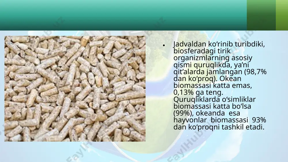 biosfera biomassasi. 11 - sinf - Page 4