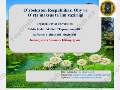 ekologik omillar tasnifi — PPT