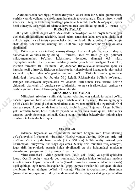 ir ettirilgach, kasallik namoyon bo’lmay qolgan. o’simliklarda uchraydigan mlo hujayralar ichida bo’ladi. ba’zi xususiyatlari bilan mlo bakteriyalarning l formasiga o’xshab ketadi. mlo ning hujayra po’sti yaxshi taraqqiy etgan, penitsillinga chidamli. mlo patogenligi bilan bakteriyalarning l formasidan farq qiladi (3-jadval). mikoplazmalar o’simliklarda 40 dan ortiq turli-tuman kasalliklar keltirib chiqaradi. jumladan, sariq kasalligi, qo’qongulning sariq kasalligi, pomidordagi stolbur, makkajo’xorining, tutning va boshqa o’simliklarning pakanaligi, tsitrus o’simliklarning kasallanishi va boshqalarni ana shu mikoplazmalar qo’zg’atadi. bularning eng keng tarqalgan formasi ellipssimon bo’lib, 0,2x0,3 mkm kattalikda. sulida keng tarqalgan kasalliklardan biri g’umbaklanishdir. bu kasallikning sababchisi liburnia striatella. bu kasallik sibirda, uzoq sharqda va shimoliy qozog’istonda tarqalgan. pomidor gulining tugunchalari, shonalarida hyalesthes obsolefus gulkosa barglarining yopishib o’sishiga olib keladi, natijada pomidor mevasi mayda va qattiq bo’ladi, bu kasallik qrim va kavkazda tarqalgan. aktinomitsetlar aktinomitsetlar yoki nursimon (nurli) zamburug’lar tuzilishi jihatidan bakteriyalar va tuban zamburug’larga o’xshaydi (6, 7- rasmlar). ular mog’or zamburug’lar bilan bakteriyalar orasidagi guruhhga mansub, …