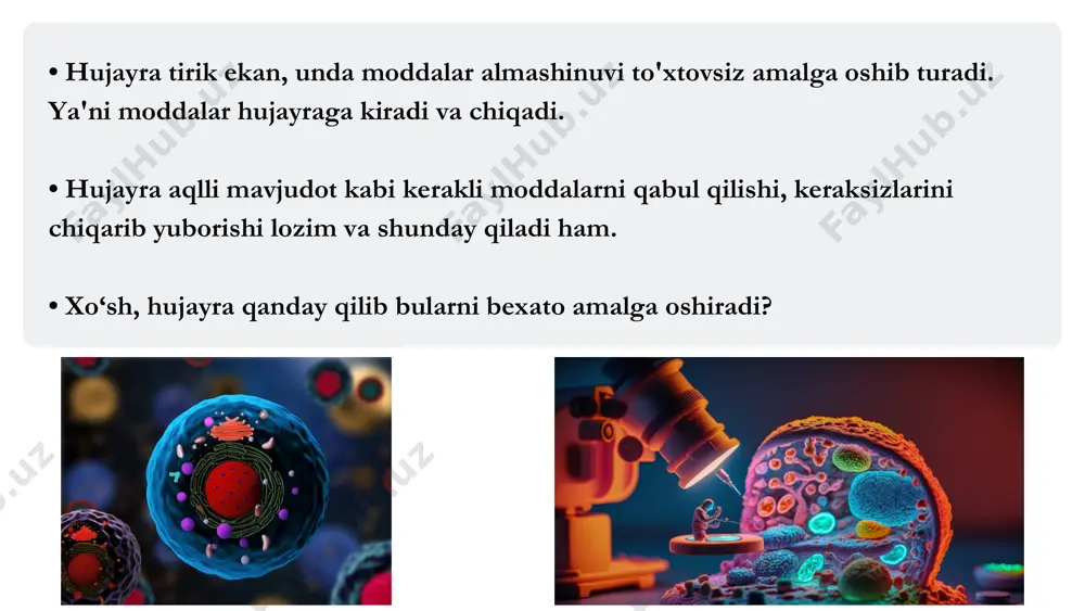 shiga sabab bo‘ladi (ligand - bog‘lanish). • masalan, atsetilxolin neyromediatori tegishli ion kanallarning darvozasini ochish orqali nerv sistemasida impulslar o‘tkazilishini ta'minlaydi. gormonlar ham bunga misol bo‘ladi. 3. mexanik darvozali kanallar. bu kanallar hujayra membranasiga berilgan mexanik ta'sirlarga javoban ochiladi. masalan, bosim ta'sirida. darvozasiz kanal voltaj darvozali kanal mexanik darvozali kanalligand darvozali kanal ochiq ochiqyopiq yopiq ochiq yopiqhar doim ochiq bosimretseptorgormon e'tiboringiz uchun rahmat! @dofamin_jamoasi@dofamin_jamoasi @dofamin_jamoasi ijtimoiy tarmoqdagi sahifalarimizga obuna boʻling