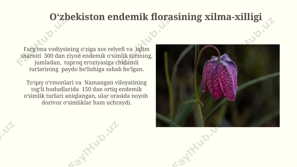 o’zbekiston florasi endemlari - Page 5