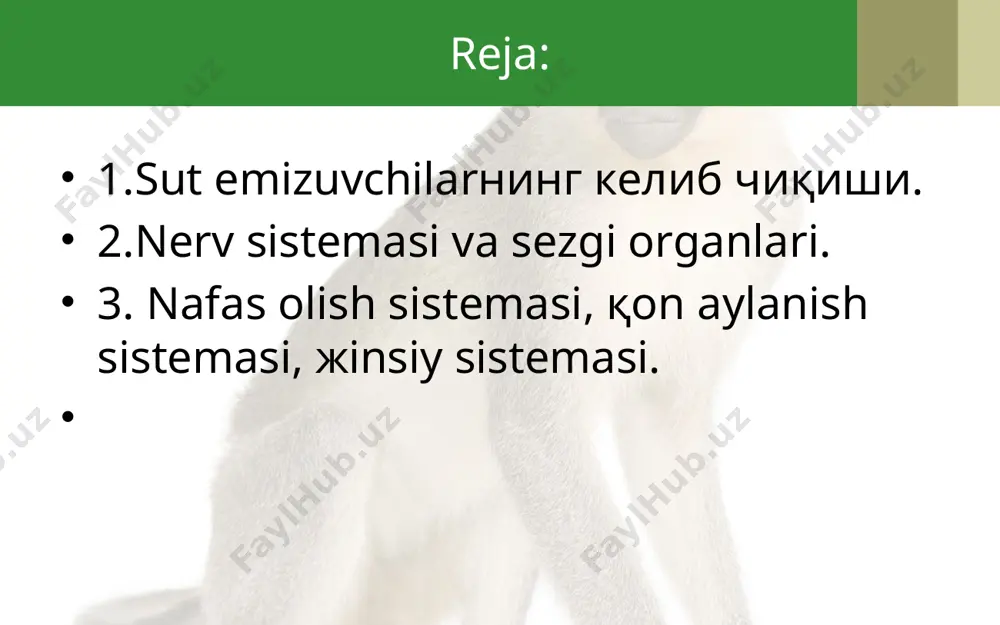 ham bo‘lgan. ular kalta oyoqlarida yo‘g‘on va uzun dumini sudrab harakatlangan. iqlimning sovib borishi bilan sovuqqonli yirik sudralib yuruvchilar qirilib ketib, ularning o‘rnini issiqqonli sutemizuvchilar egallagan. сут эмизувчилар асосан учта кенжа синфга бўлинади: 1. бир тешиклилар ёки бирламчи ҳайвонлар – prototheria, 2. тубан сут эмизувчилар – nietatheria, 3. йўлдошлилар ёки олий сут эмизувчилар – placentalia. ko‘payishi. ko‘pchilik sutemizuvchilarning tuxum hujayralari juda kichik, sariqligi kam bo‘ladi. tuxum hujayralari tuxumdonda yetiladi; u yerdan tuxum yo‘liga tushib, urug‘lanadi. odatda sutemizuvchilar embrioni xaltaga o‘xshash maxsus organ – bachadon ichida rivojlanadi. urug‘langan tuxum hujayra tuxum yo‘lida rivojlana boshlaydi. embrion bachadonga tushgach, uning devoriga yopishib oladi. tuban sutemizuvchilarning bachadoni bo‘lmaydi; ularning urug‘langan tuxumi tashqi muhitda rivojlanadi. rivojlanishi. bachadonda rivojlanayotgan embrion homila deyiladi. homila yo‘l dosh orqali bachadon devori bilan bog‘langan. bachadon qon tomirlari kindik orqali yo‘ldoshga keladigan qon tomirlariga zich tegib turadi. oziq moddalar va kislorod yo‘ldosh orqali ona qonidan homila qoniga o‘tadi; moddalar al mashinuvi …