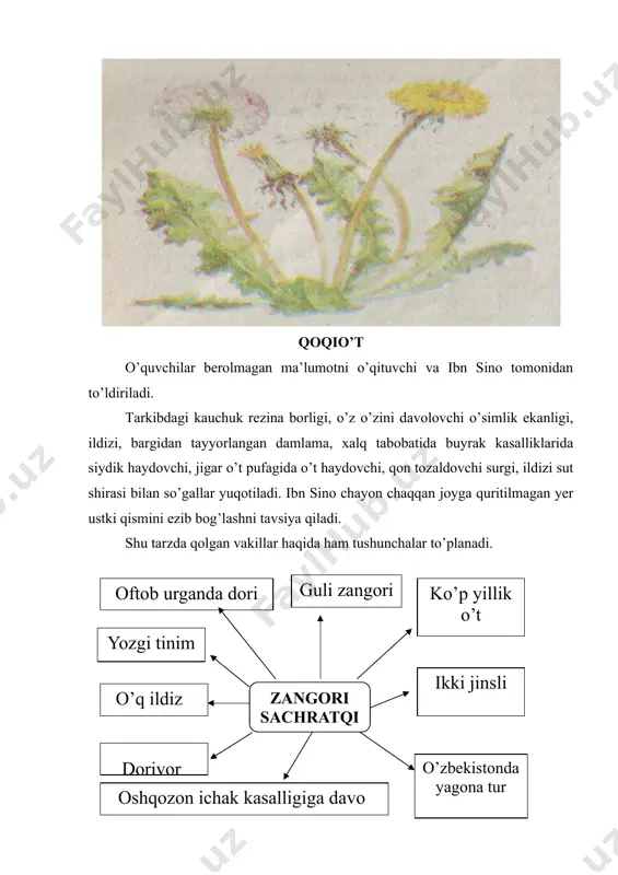 qoqio’tdoshlar (murakkabguldoshlar) - Page 5