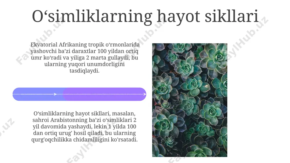 o'simliklar geografiyasi asoslari - Page 4