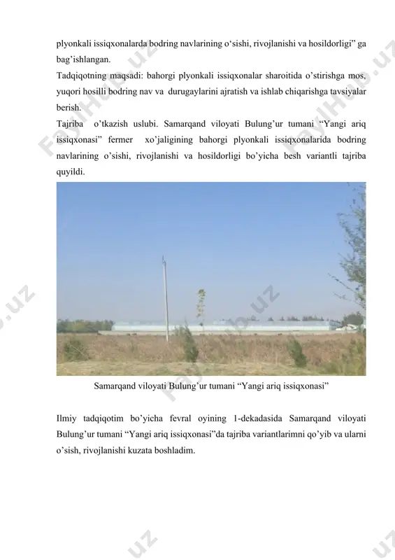 i, rivojlanishi va hosildorligi bo’yicha besh variantli tajriba quyildi. samarqand viloyati bulung’ur tumani “yangi ariq issiqxonasi” ilmiy tadqiqotim bo’yicha fevral oyining 1-dekadasida samarqand viloyati bulung’ur tumani “yangi ariq issiqxonasi”da tajriba variantlarimni qo’yib va ularni o’sish, rivojlanishi kuzata boshladim. bodringni tagini yumshatish bodringni begona o`tlardan tozalash bodringni bog’lash jarayoni bodring mevalarining o’sish jarayonlari 2022-yil 18-noyabrda agrokimyo va o’simliklarini himoya qilish kafedrasi “yosh meva va sabzavotchi” to’garagi bo’lib o’tdi. unda ikki maruzachi o’qidi. 1) intensiv olma ko’chatlarini yetishtirish texnologiyasi. 305-guruh b.olimjonova. ilmiy rahbari dots o.m.sulaymanov. 2) issiqxonalarda kam tarqalgan sabzavot ekinlarni yetishtirish texnologiyasi. 305-guruh talabasi o.usmonov. ilmiy rahbari q.x.f.d, prof, d.s.normuradov. va talabalari qatnashdi. ”agrokimyo va o’simliklarini himoya qilish” kafedrasi “yosh agrokimyogar” to’garagida ilmiy rahbar; dost. m.a.hayitov. maruzachi 201-guruh talabasi meliboyeva.sh “mavzu - fosforning kartoshka hosildorligi va sifatiga ta’siri mavzusidagi taqdimoti tayyorlashda qatnashdim. 20-dekabr oyida agrokimyo va o’simliklarini himoya qilish kafedrasi “yosh meva va sabzavotchi” to’garagi bo’lib o’tdi. unda ikki maruzachi o’qidi. …