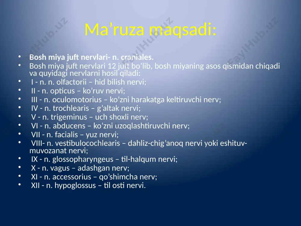 bosh miya juft nervlarining funktsional anatomiyasi - Page 2
