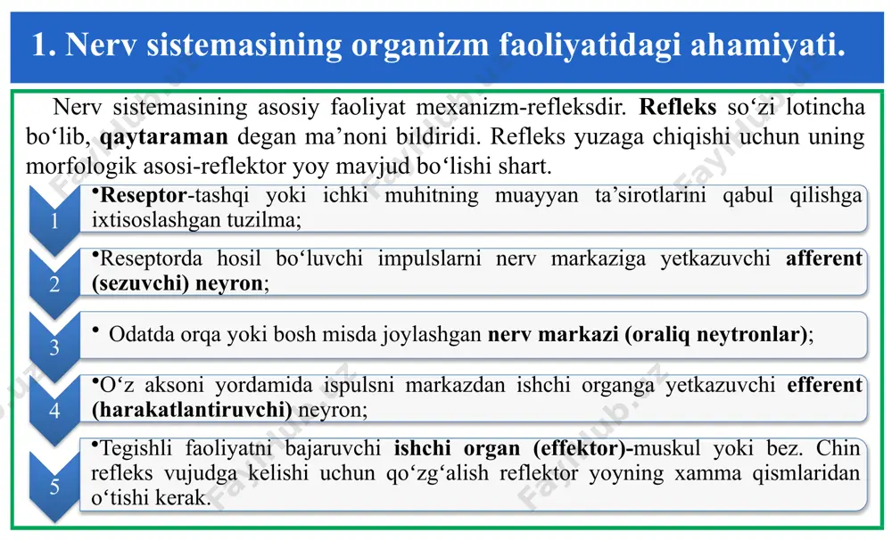 nki neyronlar kislorod tanqisligiga nihoyatda sezgir boʻladi. toʻqimaning kislorodga ehtiyoji qanchalik yuqori boʻlsa, uning faoliyati kislorod yetishmovchiligida shunchalik qattiq va tez buziladi. bosh miyaning massa birligiga nisbatan kislorod sarfi tinch xolatda musklnikiga qaraganda 22 hissa, jigarnikiga nisbatan 10 hissa koʻp. shuning uchun ham miyaga qon kelishi qisqa muddat toʻxtab qolgudek boʻlsa neyronlarda asliga kelmaydigan oʻzgarishlar sodir boʻladi. 2. nerv markazlari, ularning fiziologik xossalari. 7. nerv markazlarining ba’zi zaharlarga va dorilarga sezgirligi. ba’zi oʻsimliklarning odam ruhiga, kayfiyatiga ta’sir kelishi, uyqu keltirishi, ogʻriqni qodirishi qadimdan ma’lum boʻlgan. mns ga ta’sir qiladigin moddalar bir checha guruhga boʻlinadi, bular: narkoz uchun qoʻllanadigan moddalar, uhlatadigan, psixotrop moddalar, tutqonoqqa qarshi dorilar, ogʻriq qoldiradigin moddalar, koʻrsatuvchi va qusishni oldini oladigan preparatlar. bu moddalarga alkogol, tamaki nikotini, choydagi kofein va boshqalar kiradi. 8. dominanta. dominanta soʻzi hukmron degan ma’noni anglatadi. a.a. uxtomskiyning fikricha, ma’lum sharoitda qaysi bir nerv markazida qoʻzgʻalishning hukmron oʻchogʻi paydo boʻladi. gumoral yoki reflektor ta’sirotlar …