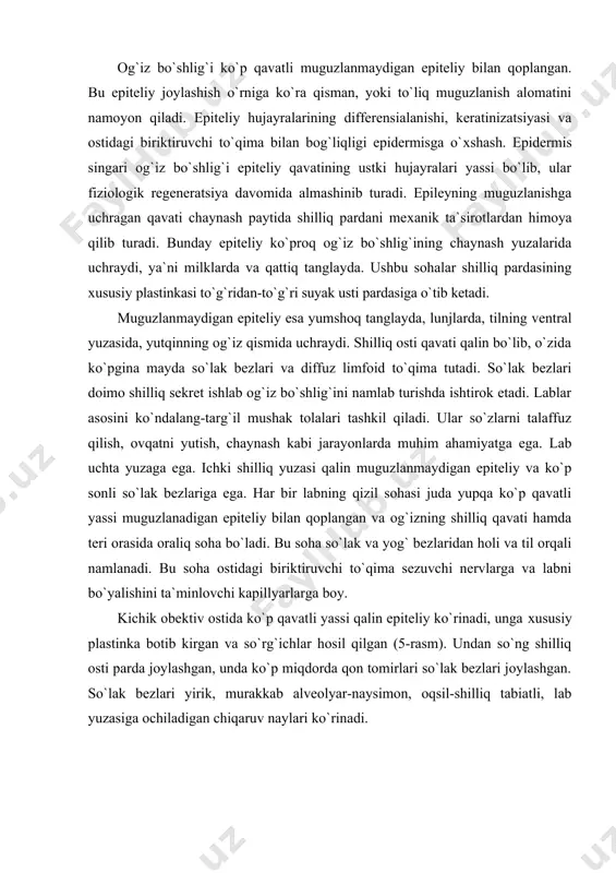 m). undan so`ng shilliq osti parda joylashgan, unda ko`p miqdorda qon tomirlari so`lak bezlari joylashgan. so`lak bezlari yirik, murakkab alveolyar-naysimon, oqsil-shilliq tabiatli, lab yuzasiga ochiladigan chiqaruv naylari ko`rinadi. rasm. labning shilliq qismi. bo`yalish: gematoksilin - eozin. 1 - ko`p qavatli yassi muguzlanmaydigan epiteliy, 2 - хususiy plastinka so`rg`ichlari, 3 - shilliq osti pardasi, 4 - so`lak bezlari. lunj tuzilishi - og`iz bo`shlig`ining yon devorlarini hosil qiladi. tashqaridan - teri, ichkaridan - shilliq va shilliq osti parda bilan qoplangan, o`rtasida - lunj mushagi (ko`ndalang-targ`il); so`lak bezlari shilliq osti pardasida va mushaklar oraligida joylashgan, ularning oхirgi bo`limlari aralash tipda va shilliq. shilliq qismida 3 ta zonasi bor: maksillyar, mandibulyar va oraliq. epiteliysi ko`p qavatli yassi muguzlanmaydigan, ba`zida oraliq qismi epiteliysi muguzlanadi. xususiy plastinkasida turli kattalikdagi so`rg`ichlari bo`ladi, ko`p miqdorda kollagen tolalar mushaklar bilan bog`lanadi, shuning uchun shilliq osti pardasi yirik burmalar hosil qilmaydi. shilliq osti pardasi - siyrak tolali biriktiruvchi to`qimadan iborat, …