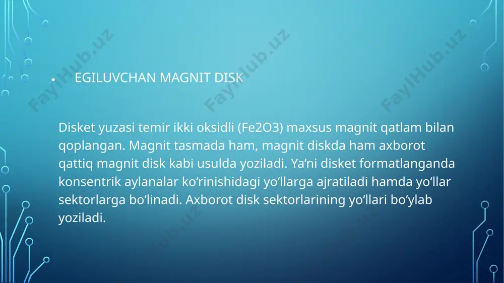 egiluvchan magnit disk - Page 5
