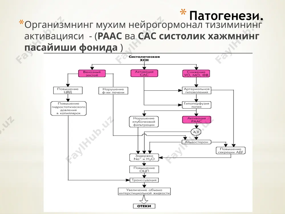 крепитация тахикардия норегуляр пульс тахипноэ (чдд 16/мин дан ортиқ) гепатомегалия асцит кахексия шишлар ва буйин веналарининг буртиши. лаборатор диагностика сюе ташҳислашда натрийуретик гормонлар (нуп) аниқланиши шарт уқт, уст, электролитлар (калий, натрий), креатинин, кфт, глюкоза, hba1c, липид профил, жигар ферментлари. инструментал диагностика сюе ташҳислашда экг ва эхокг текширув усуллари катта роль ўйнайди. электрокардиография 12-каналли экг ёрдамида юрак ритми юрак қисқариш сони qrs морфологияси ва давомийлиги ав ва қоринчалар ўтказувчанлиги (гтчоб, гтўоб) миокардни чандиқли ўзгаришларни миокард гипертрофия белгиларини аниқлаш мумкин альтернирловчи пульс чап коринчанинг огир дисфункциясидан дарак бериб, тугри ритмли катта ва кичик амплитудали пульс тулкинларининг алмашинуви хисобланади ва юрак кискаришлар кучининг хар хиллиги билан характерланади. эхокардиография юрак чап қоринчасининг систолик фаолиятини баҳолаш учун чқфв-чқзҳ аниқлаш зарур . чап қоринчанинг диастолик фаолиятини аниқлаш зарур эхокг кўкрак қафаси рентгенографиси экг ва клиник белгилар билан таққослаган ҳолада кардиоторакал индексни аниқлаша (кардиомегалияда кардио-торакал индекс (кти)>50%), ўпка гемодинамикаси бузилишларни инкор қилиш (веноз, артериал ўпка гипертензиси), синусларда …