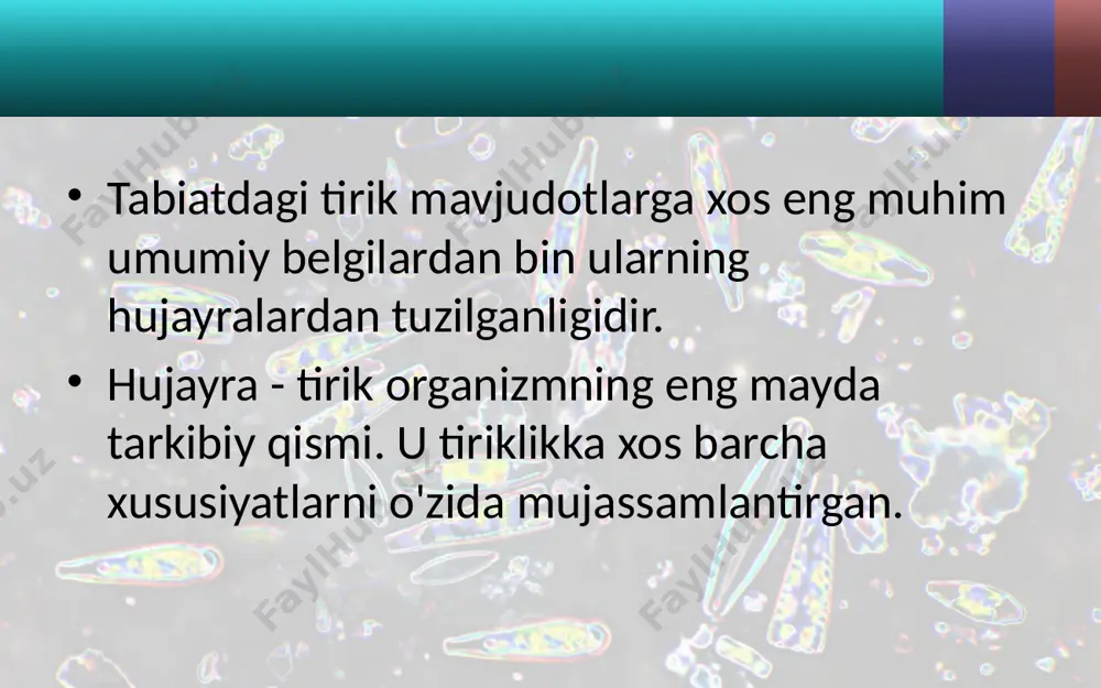 hakllan-magan, uning moddalari sitoplazmada tarqoq holda joylash-gan bo'ladi. yadro irsiy belgilarning yangi avlodga o'tishida muhim ahamiyatga ega. plastidalar - hujayraning asosiy tirik qismlaridan biri. zamburug4 lar, bakteriyalar, ko* k-yashil suvo'tlarda plastidalar bo'lmaydi. plastidalar uch xil bo'ladi: leyko-plastlar (rangsiz), xromoplastlar (zarg'aldoq, qizg'ish), xloroplastlar (yashil). xloroplastlar yashil xlorofill pig-mentiga ega plastidalar bo'lib, ularda fotosintez jarayo-ni boradi. xromoplastlarda qizil, sariq rangli pigmentlar bo'ladi. xromoplastlar gul va mevalarga rang beradi. leykoplastlar rangsiz plastidalardir. ularda zaxira mod-dalar saqlanadi. vakuol - sitoplazma ichidagi hujayra shirasi bilan to'lgan bo'shliq. u turli shaklda bo'ladi. hujayra shirasi tarkibida 70-95% suv va unda erigan ko'pgina mineral va oqsil, moy, shakar kabi organik moddalar bo'ladi. bu shira tarkibiga ko'ra mevalarning ta'mi shirin, nordon va ach-chiq bo'ladi. hujayralarning xilma-xilligini ko'rish uchun o'simlik-larning turli organlaridan preparat tayyorlash kerak. misol uchun piyozning shaffof yupqa pardasidan pre­parat tayyorlash ancha oson. buning uchun uning etli qo-big'idan yupqa shaffof pardasi ajratib olinadi va buyum oynasidagi tomchi suvga …