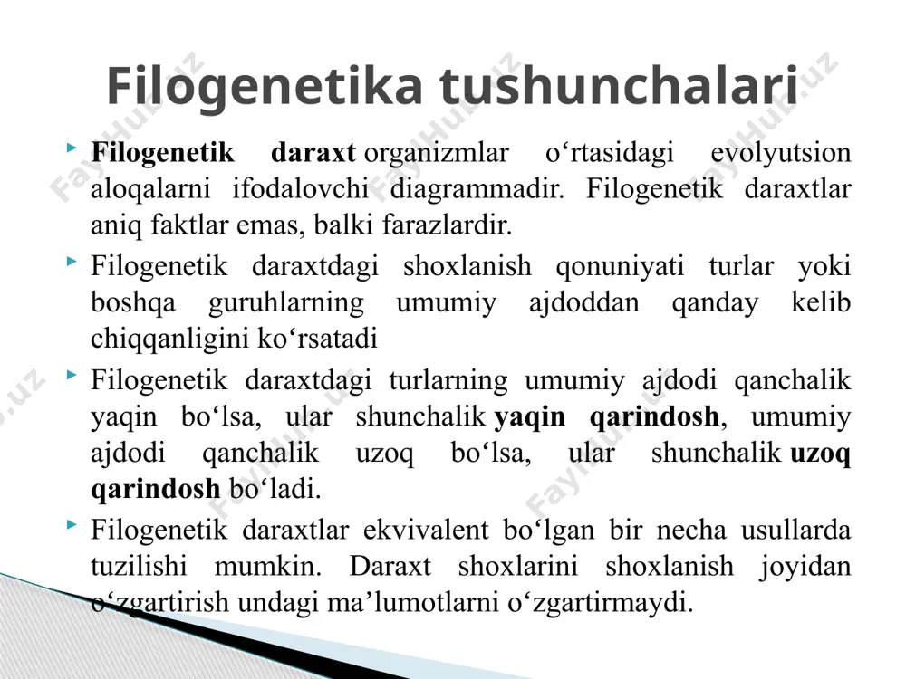 ika va vositalardan foydalanadi va shuning uchun phylonet to'plami filogenetik daraxtlarni tahlil qilish uchun bir nechta vositalarni o'z ichiga oladi. phylonet professor luay nakhleh ( nakhleh@cs.rice.edu ) tomonidan boshqariladigan raysning bioinformatics group tomonidan ishlab chiqilgan, amalga oshirilgan va ta'minlangan dastur phylonet splitstree - bu ketma-ketlik , masofa matritsasi yoki daraxtlar to'plami kabi turli xil ma'lumotlardan filogenetik daraxtlar , filogenetik tarmoqlar yoki umuman olganda, grafiklarni ajratish uchun mashhur bepul dastur . [1] [2] splitstree split dekompozitsiya, [3] qo'shni tarmoq , konsensus tarmoqlari, [4] super tarmoqlar usullari yoki gibridizatsiya yoki oddiy rekombinatsiya tarmoqlarini hisoblash usullari kabi nashr etilgan usullarni qo'llaydi . u nexus fayl formatidan foydalanadi . splits grafigi maxsus ma'lumotlar bloki (splits bloki) yordamida aniqlanadi. splitstree dendroskop interaktiv hisoblanadi kompyuter dasturlari yozilgan dastur java uchun ko'rish filogenetik daraxtlar.[1] ushbu dastur har xil o'lchamdagi daraxtlarni ko'rish uchun mo'ljallangan va raqamlar yaratish uchun juda foydali. bu daniel huson va uning hamkasblari tomonidan ishlab …