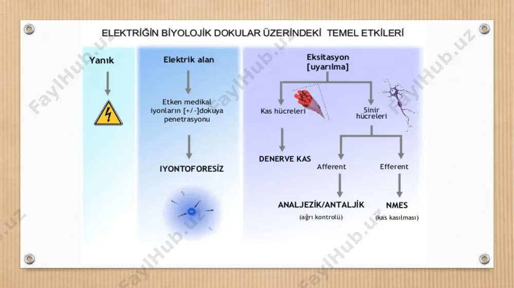 elektroterapi̇ kavramlar ve termi̇noloji̇ - Page 3