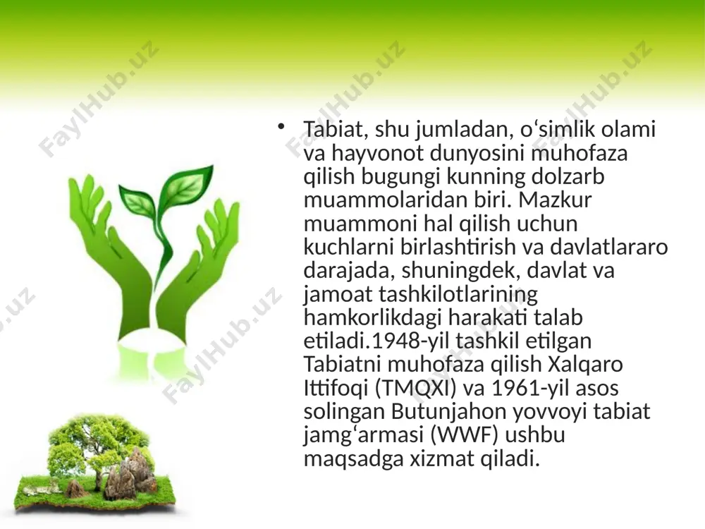 o‘simlik va hayvonot olamini muhofaza qilish. 11 - sinf - Page 4