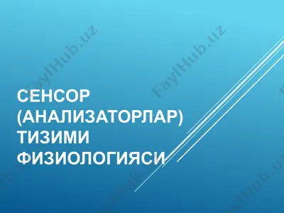 сенсор (анализаторлар) тизими физиологияси — PDF